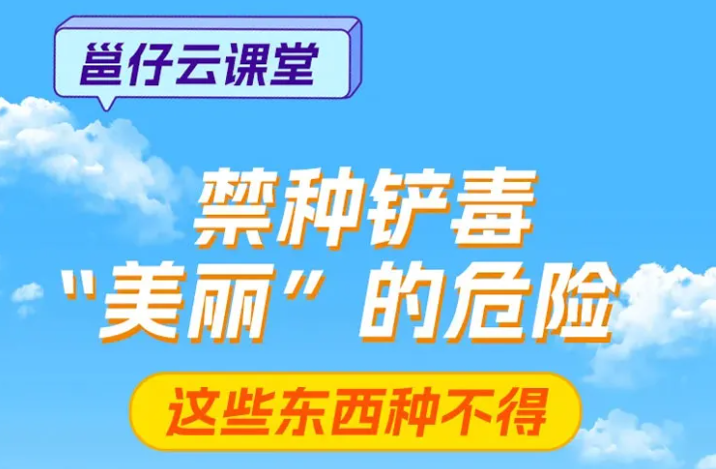 远离这“美丽”的危险，这些东西种不得