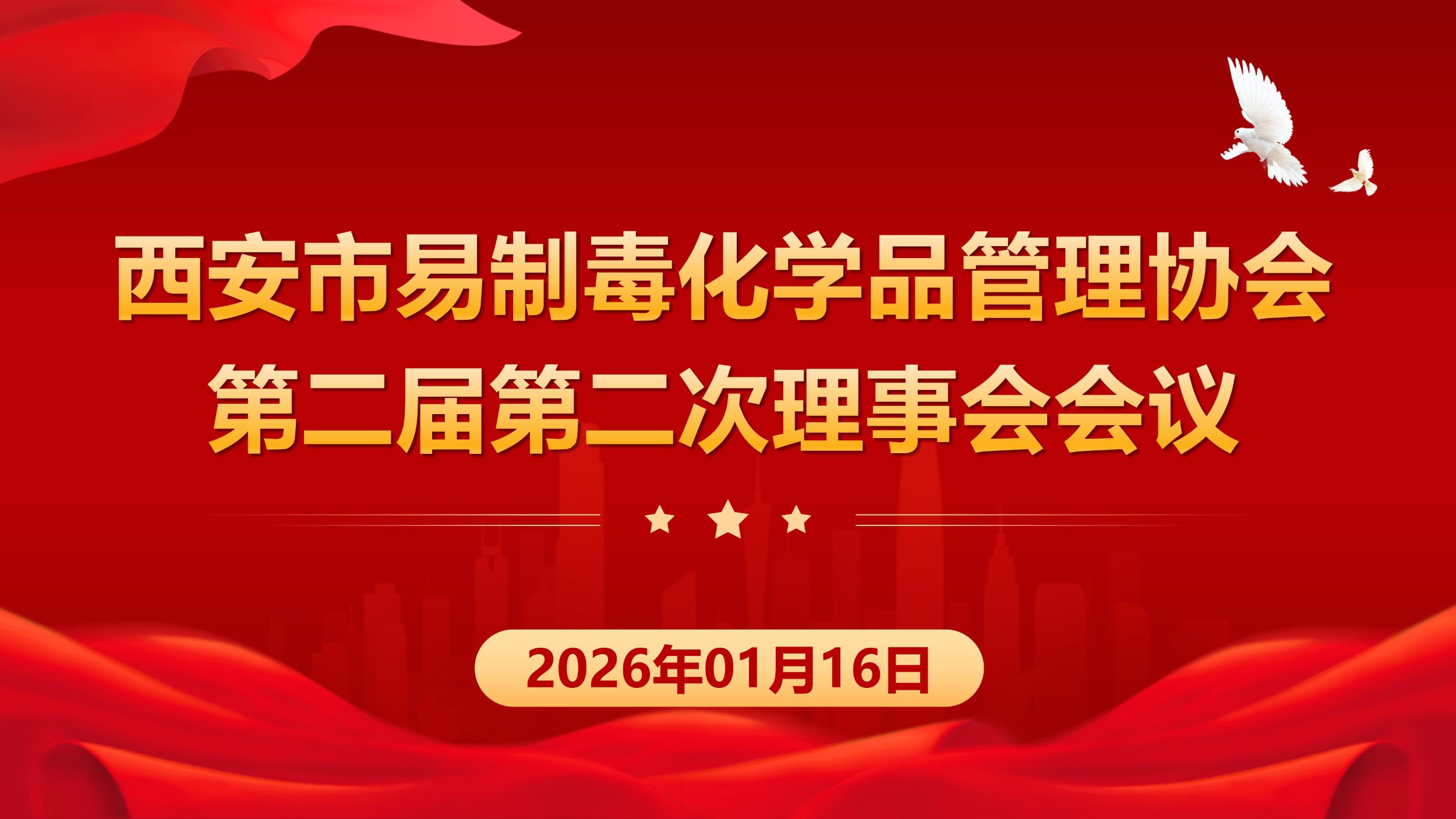 党建引领强根基 砥砺奋进启新程 西安市易制毒化学品管理协会第二届二次理(监)事会圆满召开